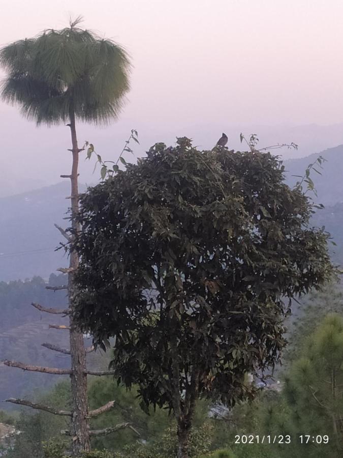 Mangalmurti Himalyan Homestay Hawalbagh 외부 사진