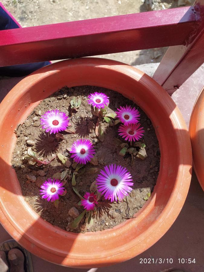 Mangalmurti Himalyan Homestay Hawalbagh 외부 사진